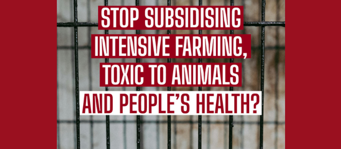 Stop Intensive Farming